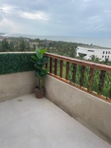 outside view 1