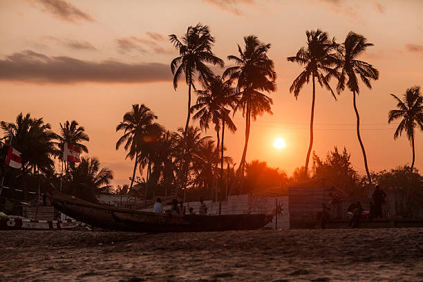 palm trees and fishing boats along the beach front during sunset.