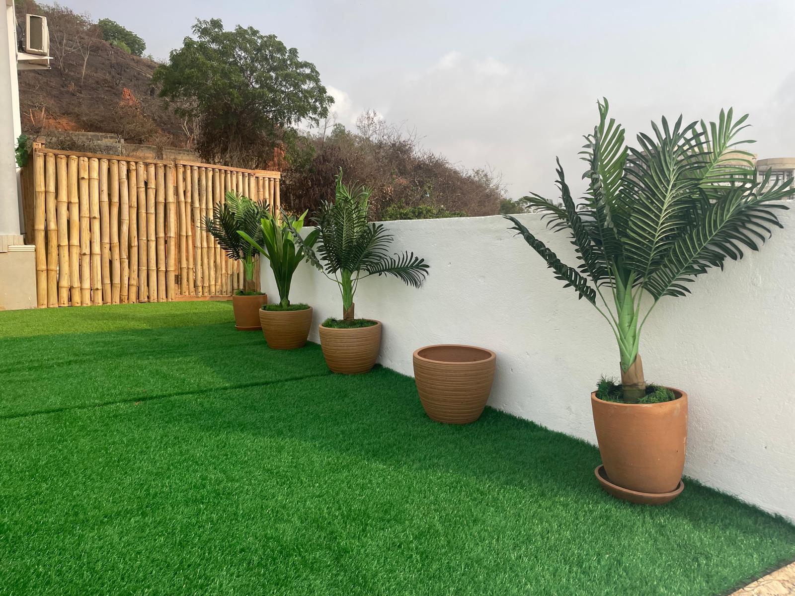 plant view